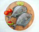 Karuppu Vaaval, Black Pomfret Fish