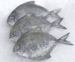 Karuppu Vaaval, Black Pomfret Fish - Image 2