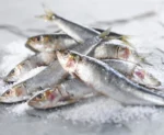 Mathi, Sardine - Image 2