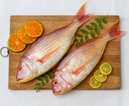 Sankara, Red Snapper