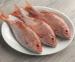 Sankara, Red Snapper - Image 2