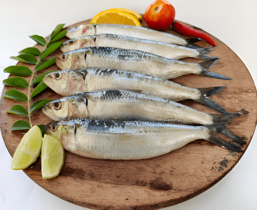 Mathi, Sardine - seafoodselect.in