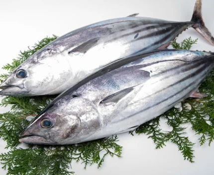Soorai, Tuna